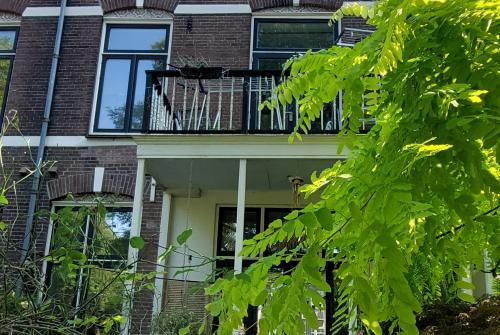 Monumentaal herenhuis Dordrecht