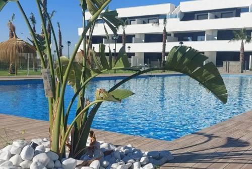 Oasis Laguna 